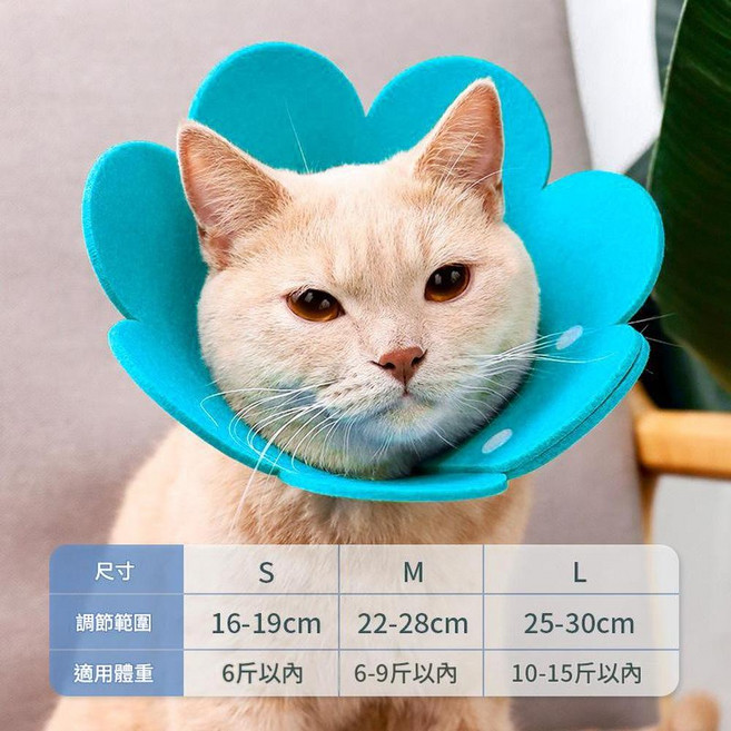 貓狗防舔脖圈, 藍色, 1個