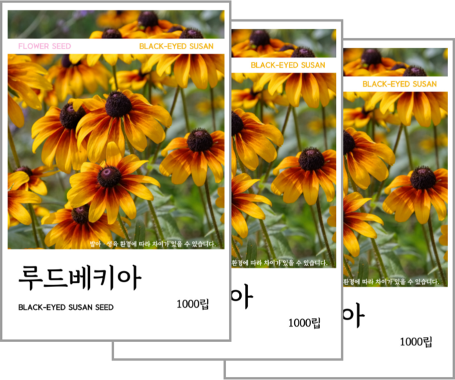 루드베키아 씨앗 1000립, 3개