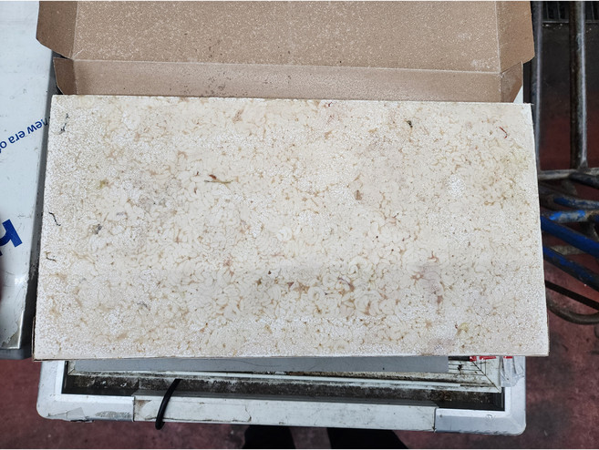 명태곤이 고니 명태알 동태알 알곤이 2kg 알탕재료, 명태곤이2kg, 1개