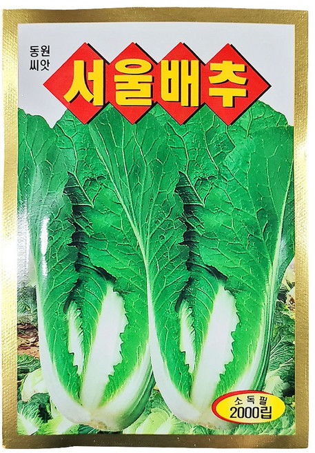 영농사 서울배추 씨앗 2000립 조선배추 얼갈이 배추씨 종자 엇갈이 동원종묘, 1개