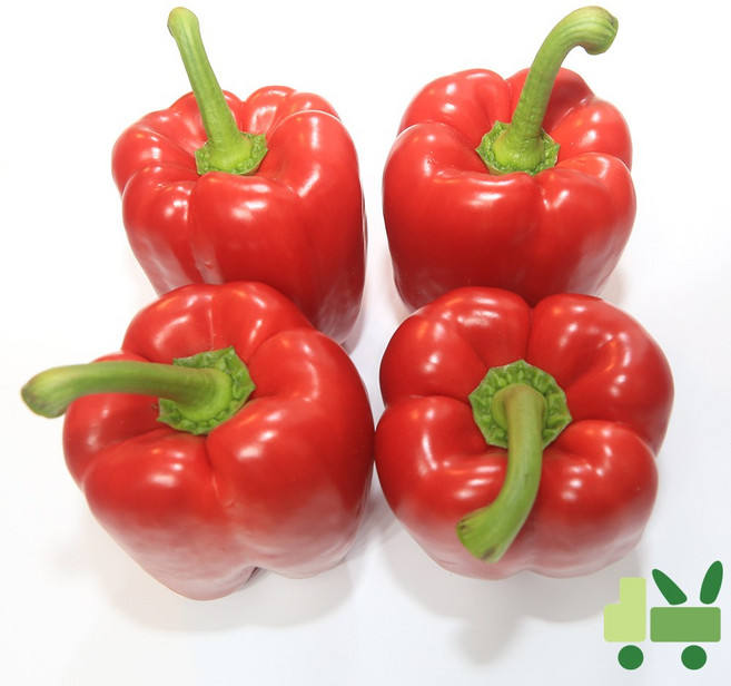 사라상회 파프리카 10Kg (비품 - 빨강), 1개
