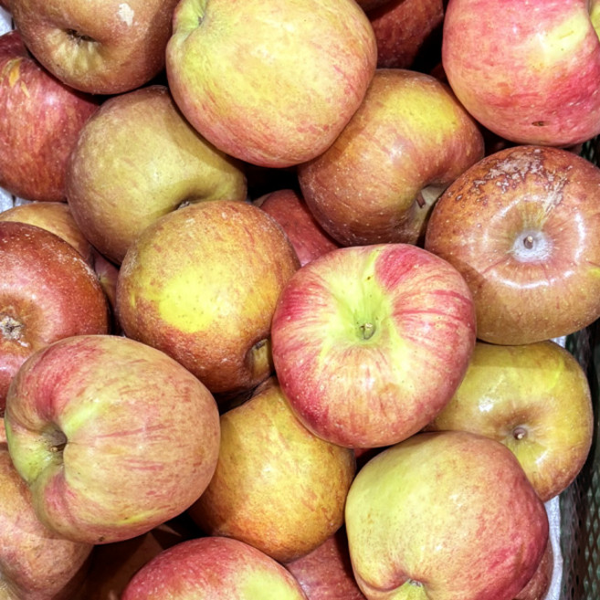 빨간 사과 쥬스용 못난이 가정용 흠집 기스 혼합 흠과 크기랜덤 박스포함, 1박스, 5kg (랜덤혼합/주스용)