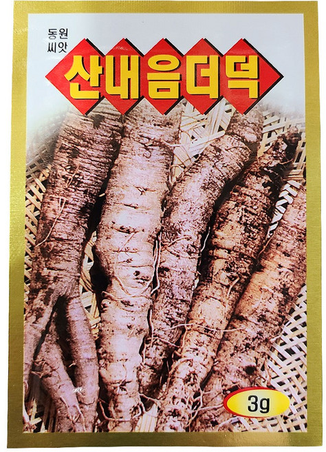 더덕 씨앗 3g 더덕씨 종자 키우기, 1개