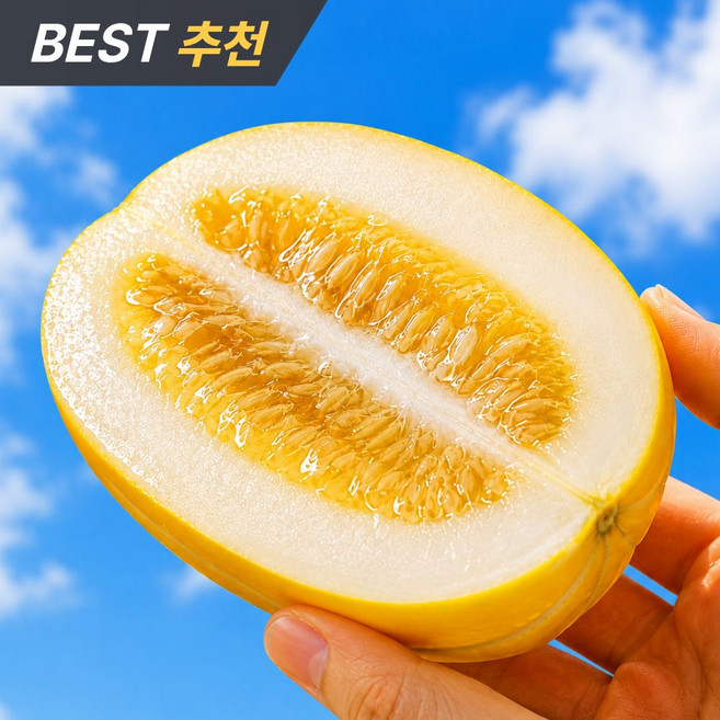 [하루50박스만] 맘카페1위 초고당도 자연담 성주참외, 1박스, 5kg