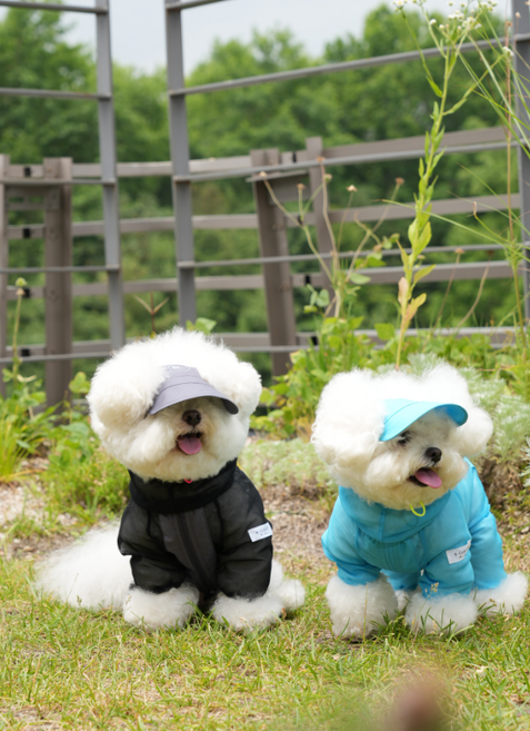 스카치 버그가드 올인원 (파우치 제공) 강아지옷 자외선차단 해충방지 애견의류 비클로젯, 블루, 1개