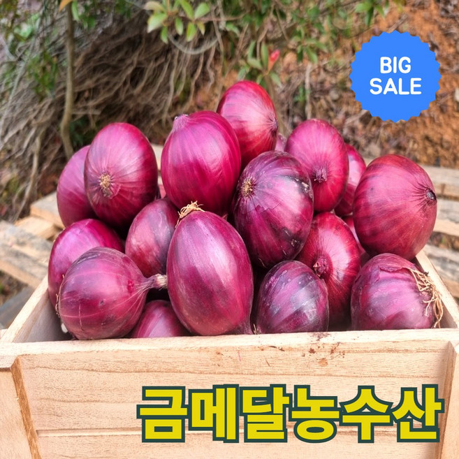 금메달농수산 산지직송 25년 무안 자색 햇양파, 1개, 3kg (중대)