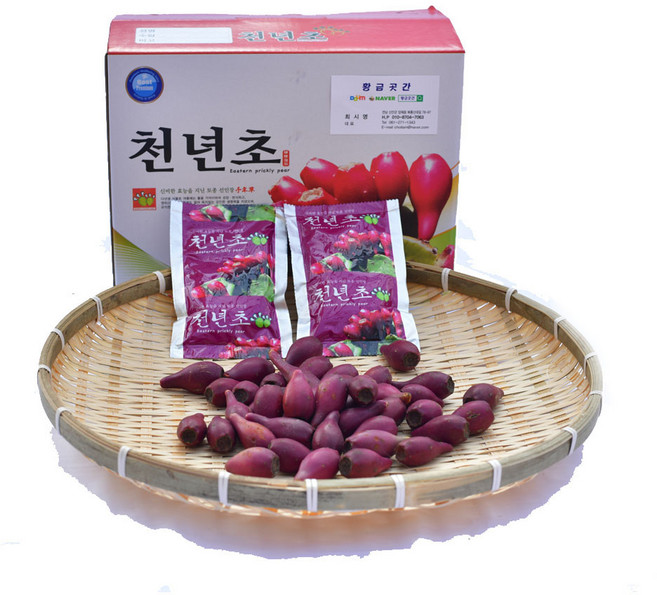 손바닥 선인장 천년초 열매 진액, 60개, 100ml