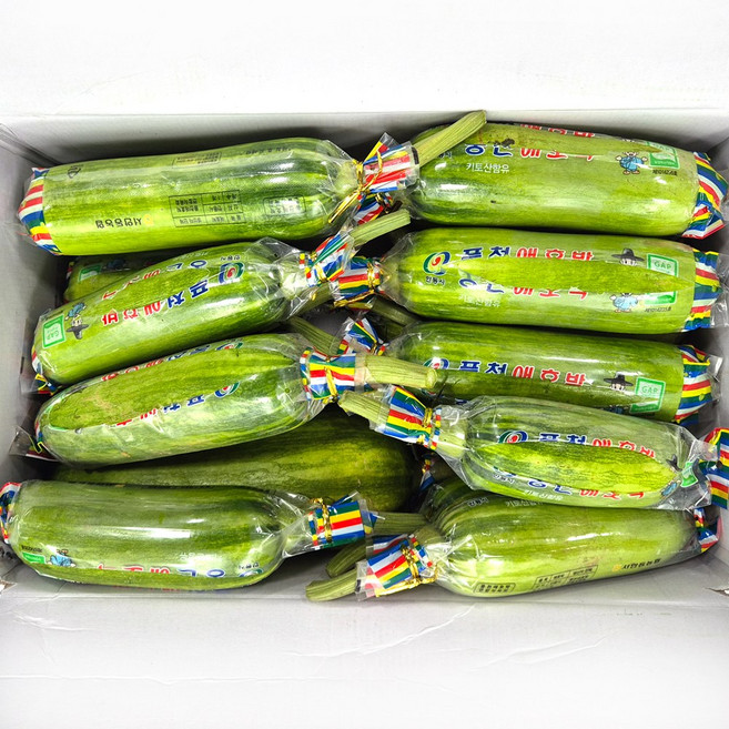 클릭마켓 국내산 못난이 애호박 20개입 하품, 20개, 250g