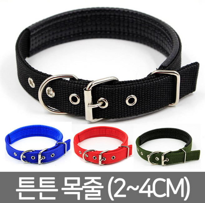 브라더펫 대형견 중형견 강아지 튼튼 목줄 진돗개 대형견목줄 중형견목줄, 카키, 1개