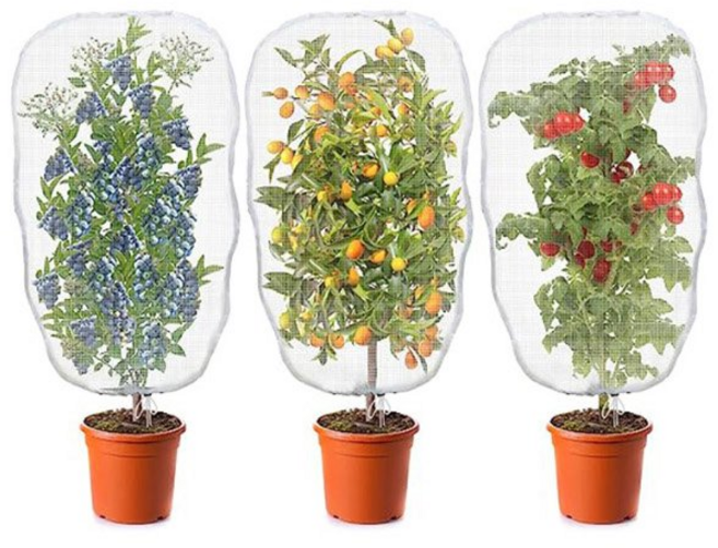 키밍 화분 식물 방충망 보호망, 소형, 1개