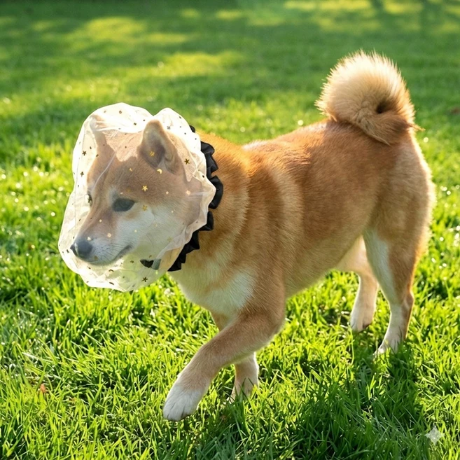 카라몰리 강아지 페이스커버 취식금지 해충 방지 얼굴망, 2개, 블랙 - 쿠팡