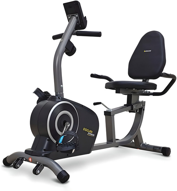이고진 좌식 실내자전거 806R, BR-5076, 블랙