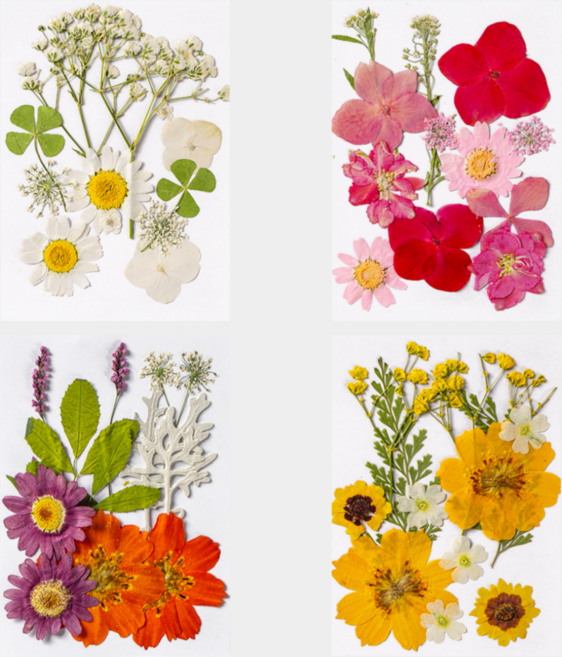 압화 4종 세트 드라이 플라워 프리저브드 천연꽃 누름꽃 종합팩 책갈피 폰케이스 다이어리 꾸미기, A세트
