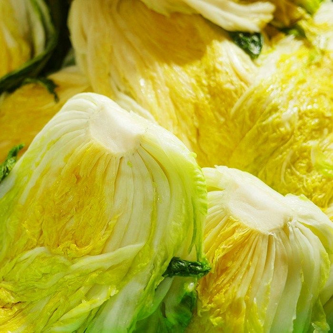 [신선도감] 땅끝 해남 절임배추 20KG 해풍맞은 90일 배추 산지직송 [예약판매], ((배추 수령희망일을 꼭 기재해주세요)), 1박스