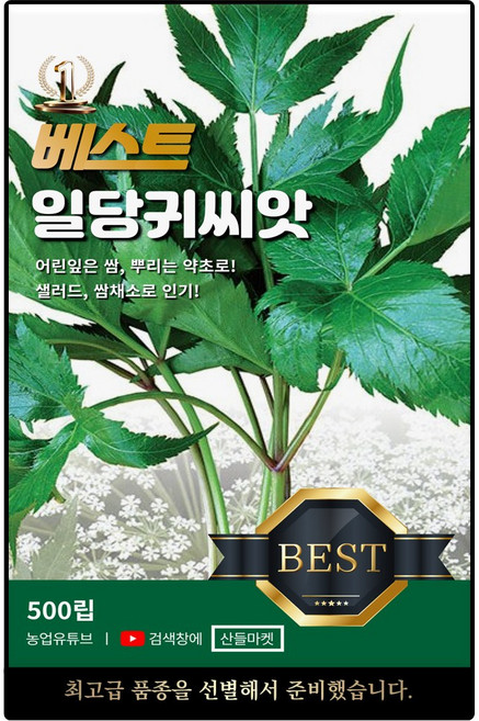 베스트 일당귀 씨앗 500립 샐러드 쌈채소로 많은 당귀씨 종자, 1개