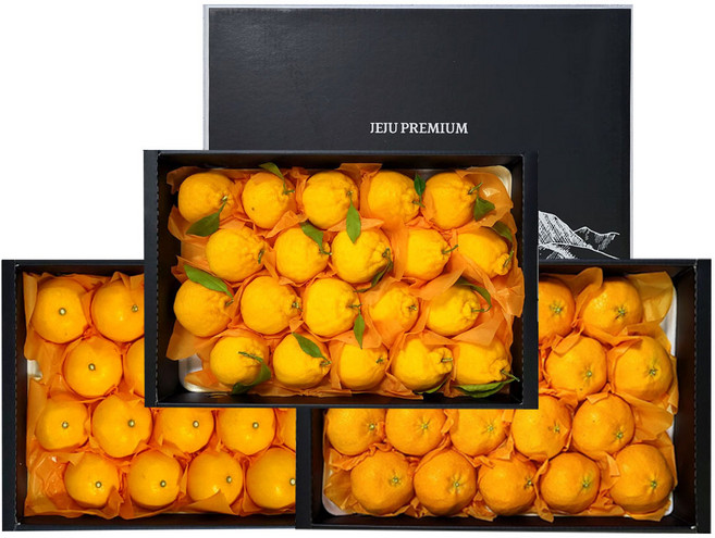 [선물용] 제주 한라봉 천혜향 레드향 4.5kg 선물용 9종구성 /부직포가방 산지직송, 1세트, 한라봉 4.5KG 소과(24-30과)