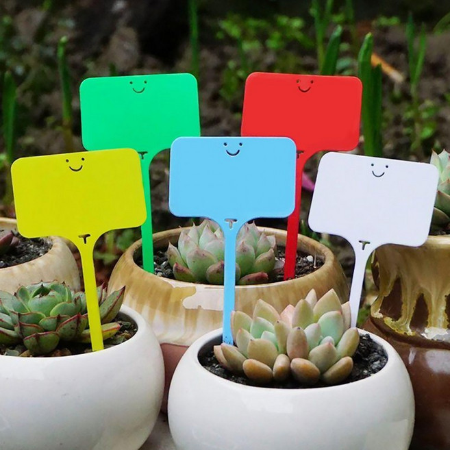 타이형 컬러 식물 이름표 화분픽 네임카드 꽂이 10P, 상세페이지 참조
