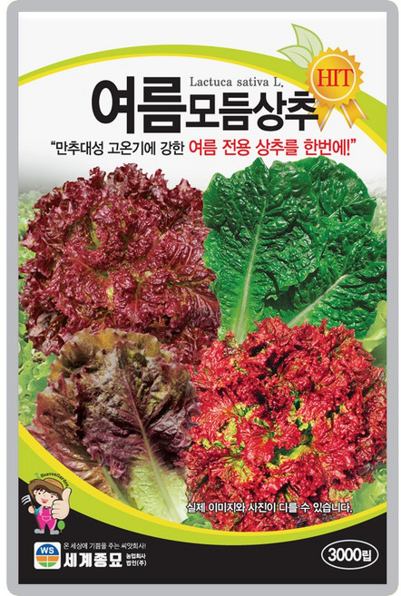산들마켓 여름모둠 상추씨앗 3000립 여름재배 적합한 4종 모둠 상추씨 종자, 1개