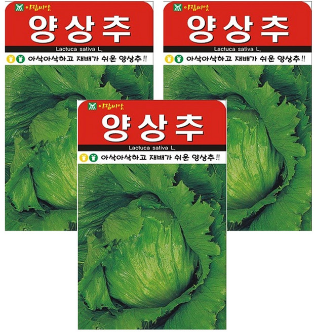 저스틴앤클로이 양상추1000립 채소잎, 3개