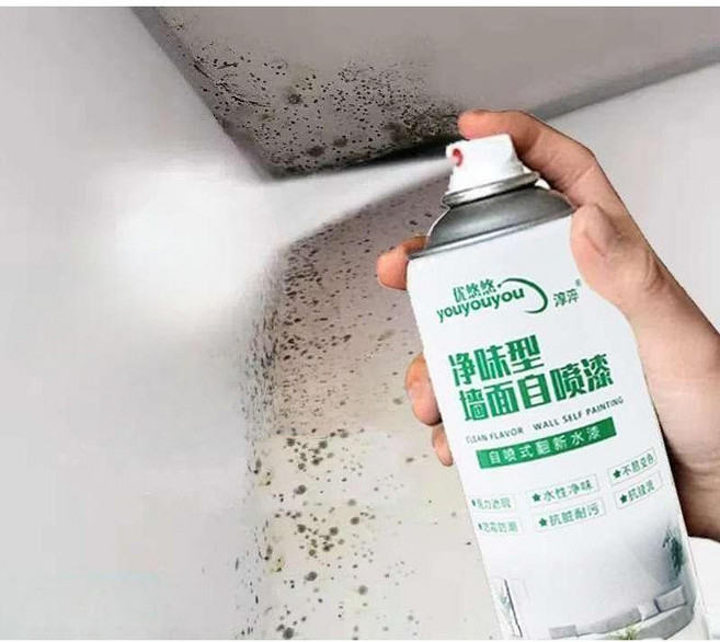 베란다 탄성코트 스프레이 실내 오염 수리 페인트 도색 곰팡이 제거 외벽 결로방지, 2. 450ml, 1개