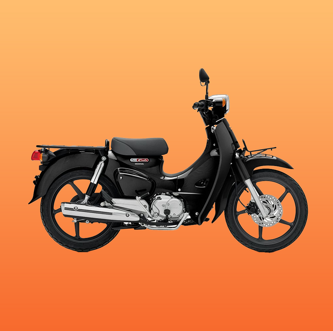 혼다 슈퍼커브 배달오토바이 단기렌탈, 기본