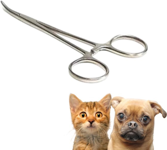 강아지 귀털뽑기 정리 제거기 귀청소 겸자가위 귓털집게 곡선형, 직선, 1개