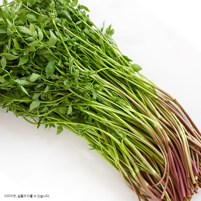 향긋한 청도 미나리 500g, 2g, 1개