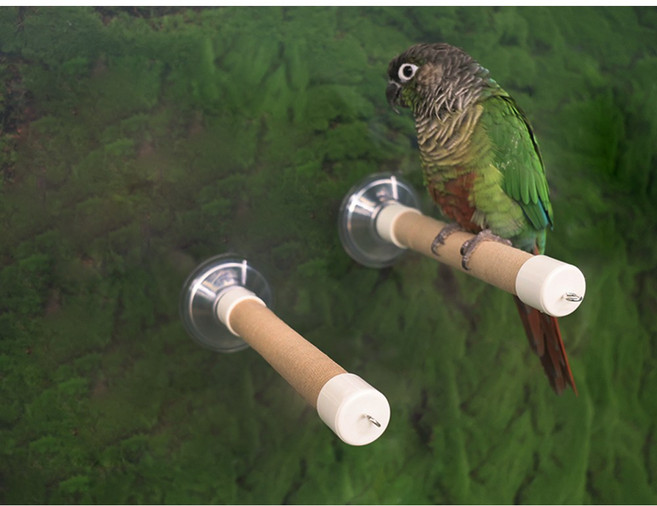 창문용 횃대 뽁뽁이 큐방이 달린 앵무새횃대 미끄럼방지, 1