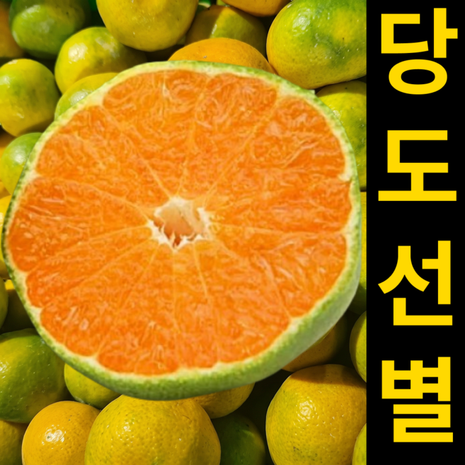 [제주직송] 고당도 귤 제주 감귤, 1세트, 5kg