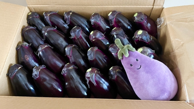 [산지 직배송] 쫄깃한 국내산 가지, 1개, 2kg