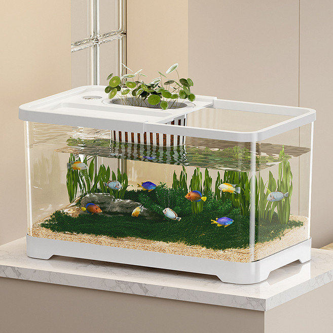 깨지지 않는 어항 대형 수조 대형 화이트+커버, 화이트, 1세트