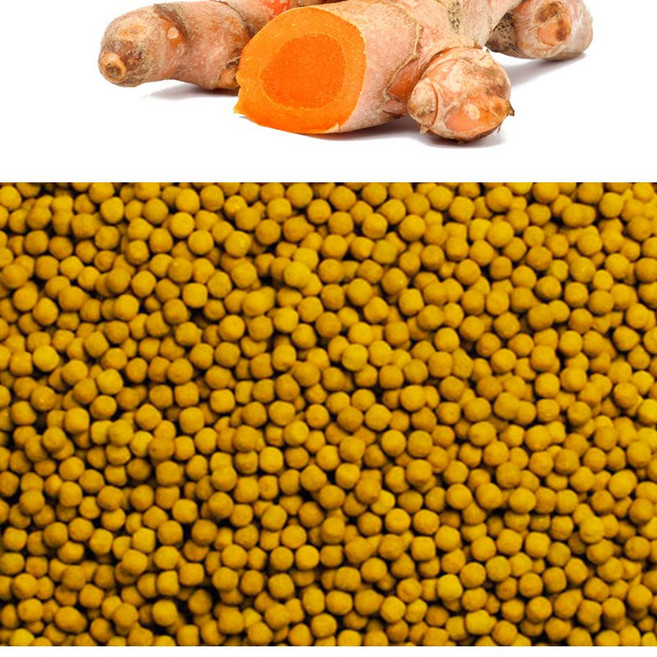 청명 강황환(인도산 500g), 500g, 1개