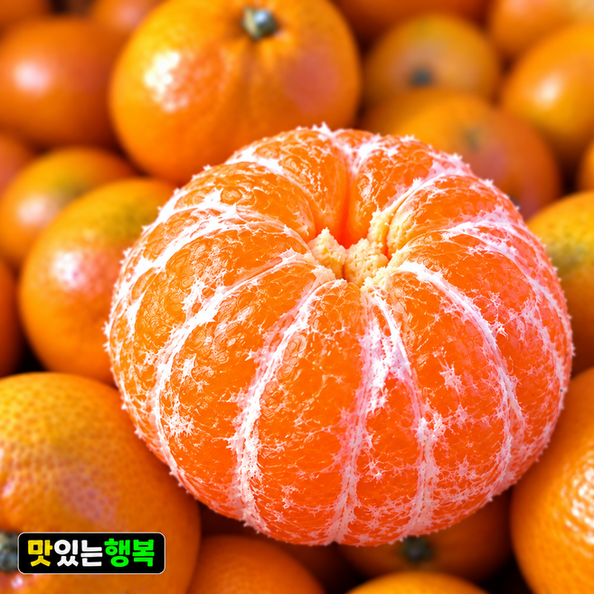 GAP 당도선별 서귀포감귤 노지조생 로얄과초특가, 1박스, 5kg정품(중대과)