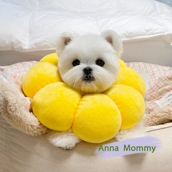 고양이 토스트 엘리자베스 소프트 목도리 고양이 치욕서클 썬플라워 펫 넥워머 보호대새끼 고양이의 목덜미를 핥다., 해바라기 Xs, 1개