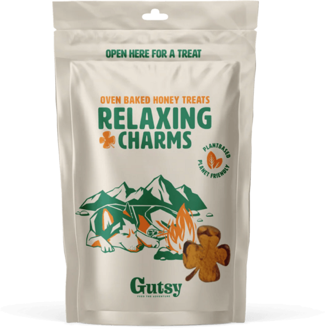 분리불안 완화 신장 쿠키 강아지 건강 비건간식, 1개, 100g, 야채