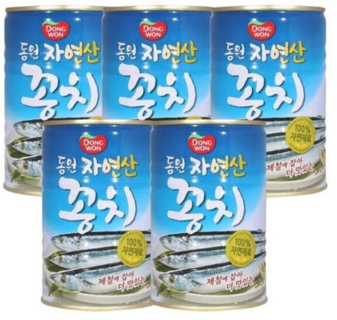 동원 자연산 꽁치 통조림, 5개, 400g