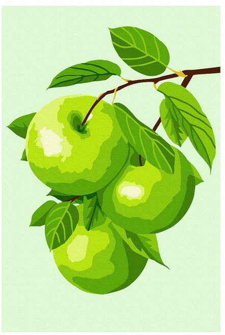 플레이어바웃 DIY 명화그리기 세트 유화 10 x 15 cm, 청사과 열매 (AX345), 1개