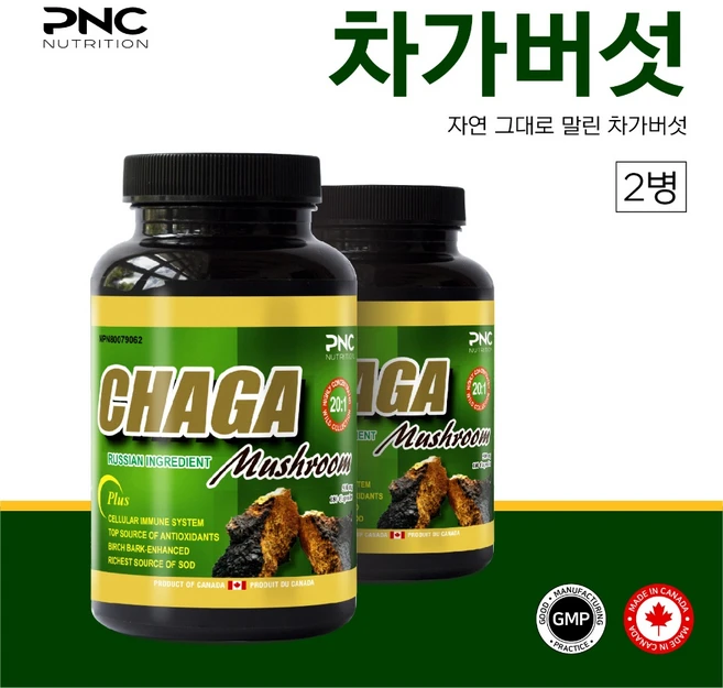 2병 PNC 러시아산 차가버섯 분말 추출 20배 500mg 180, 180정, 2개 - 쿠팡