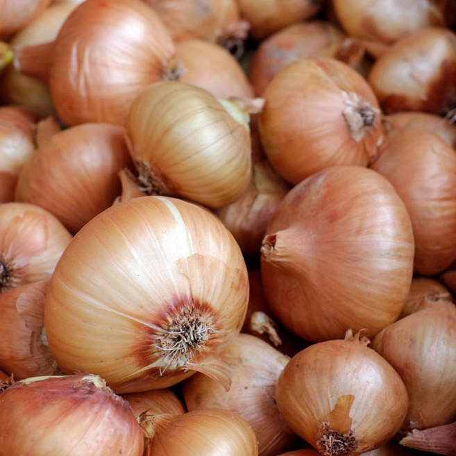 26년 국내산 아삭하고 단단한 무안 햇양파, 1개, 소/미니혼합 3kg