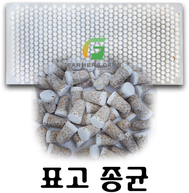 [파머스케어] 표고 버섯 종균 캡술형 1판 606알 텃밭 주말농장 참나무 버섯 표고종균, 1개, 606