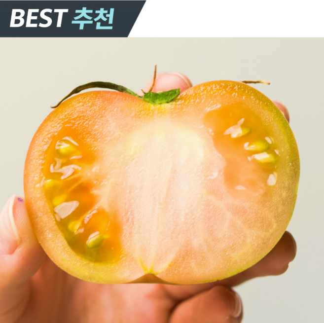 [한정특가] 고당도 김해 토렌지 오렌지토마토, 1개, 1kg (대)