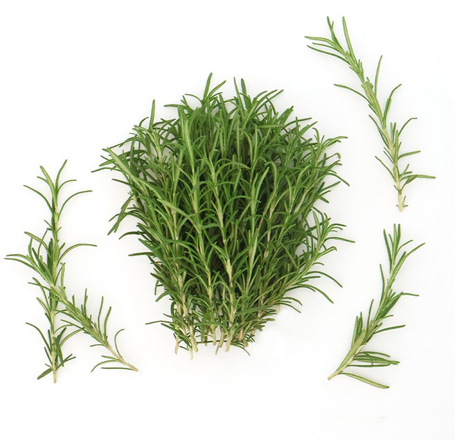 유기농 로즈마리 생잎 데코용 식용 허브 50g, 1개