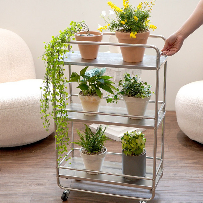 친절한마이쮸 스테인리스 3단 슬림 거실 화분 정리 선반 3단 거실 화분 트롤리, M, 1개