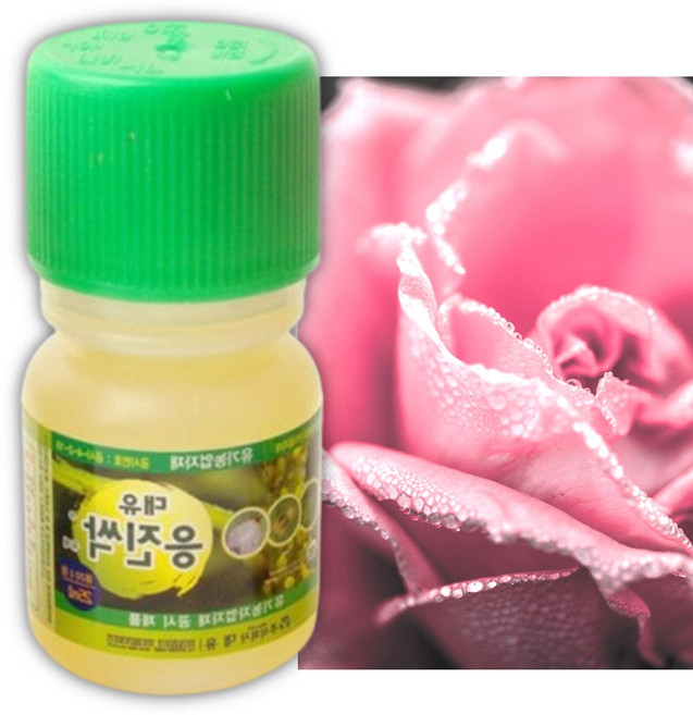 장미진딧물 장미 진드기 진딧물약 소나무응애 살충제, 1개