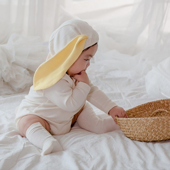 우이동금손 우이동토끼세트