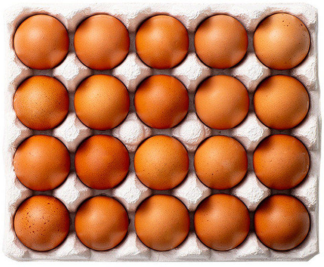HACCP 난각번호 1번 자연방사 유정란, 1개, 20구