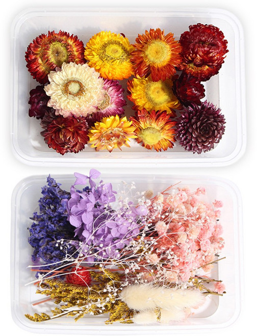화연양화 프리저브드플라워 꽃조합 헬리크리섬 2세트 DIY재료