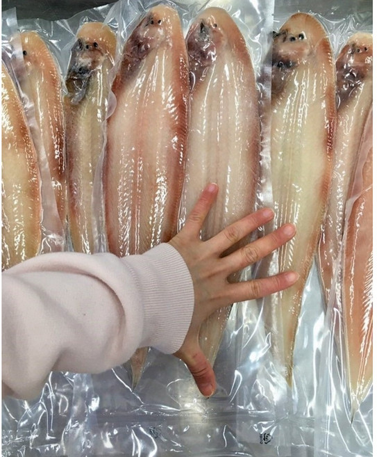 [품질보장] 군산 박대 황금박대 구이 찜 대 29~32cm, 2개, 600g