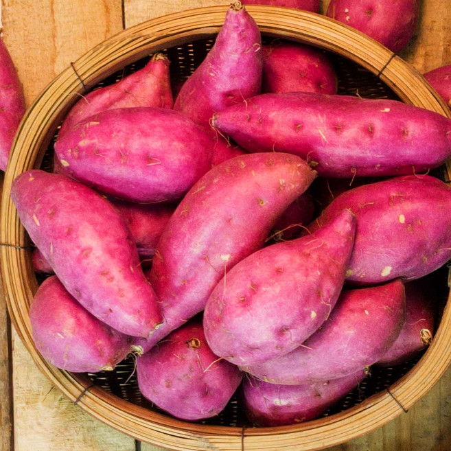 [10시이전 주문 ]전라도 꿀고구마 베니하루카 3kg 5kg 10kg 고구마, 1박스, 꿀 고구마 3kg(한입)