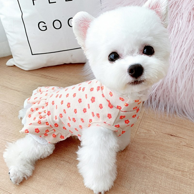 강아지 잔꽃 레이스 원피스 3XS 3XL 고양이 가을옷 겨울옷 소형 중형 대형견, 노랑, 1개